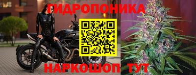 гидра Апшеронск